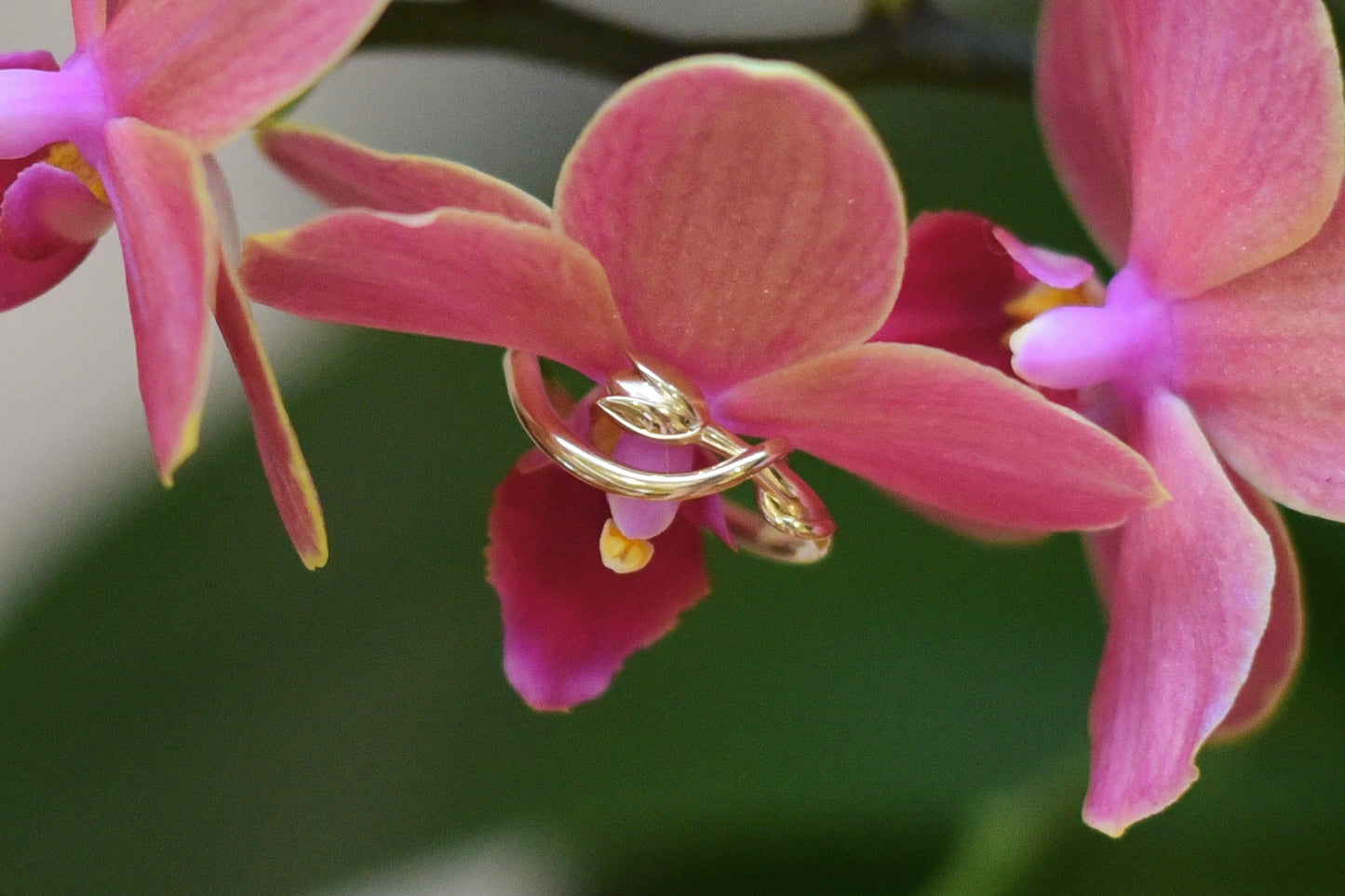 Entwined Tulip Ring